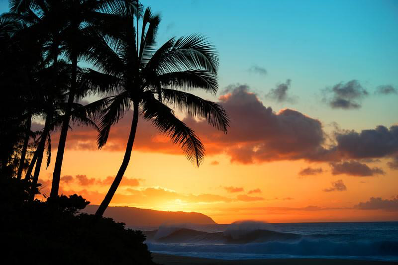 The Art of Clark Little — Bible and Pop Culture